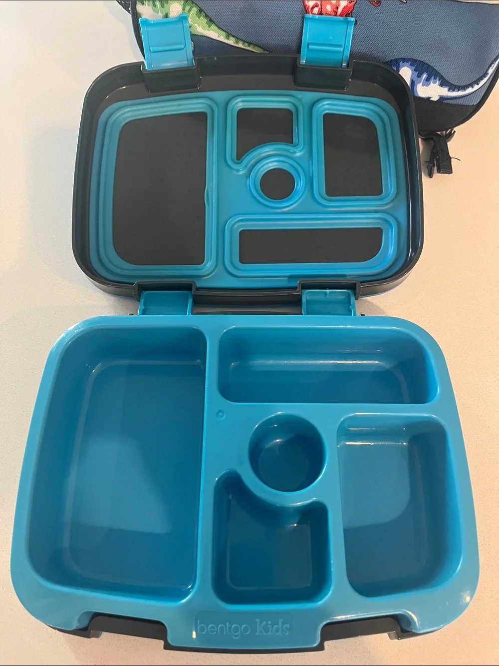 Pottery Barn Kids Dinosaur Lunchbox and Bentgo Dinosaur Lunchbox